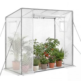 Walk-in Greenhouse, 76.8" x 30.3" x 66.1" Greenhouse for Outdoors with Windows, PE Cover, Roll-Up Zipper Door, Walk in Green House Kit